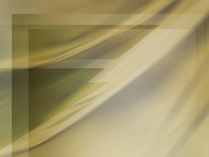用户增长